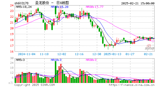 圣龙股份