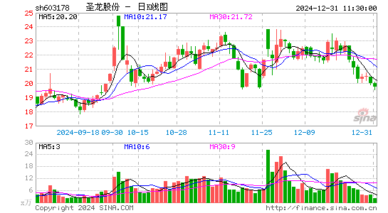 圣龙股份