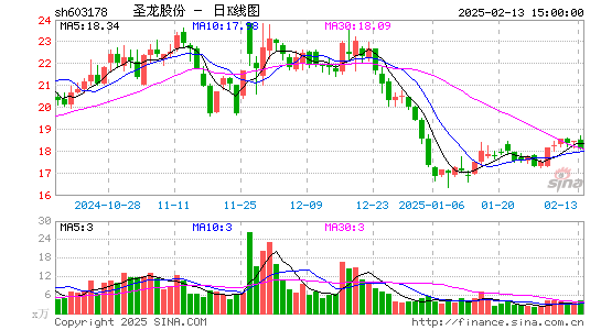 圣龙股份