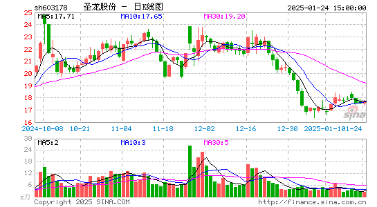 圣龙股份