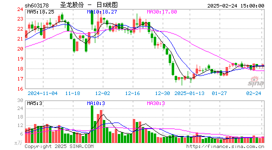 圣龙股份