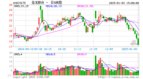 圣龙股份