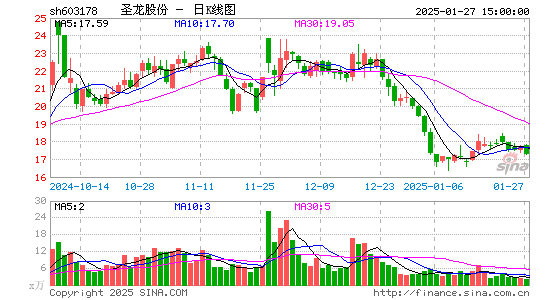 圣龙股份