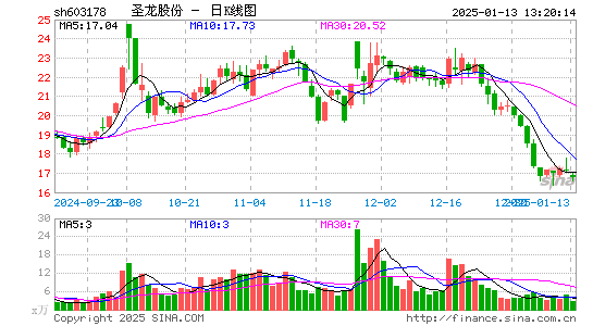 圣龙股份