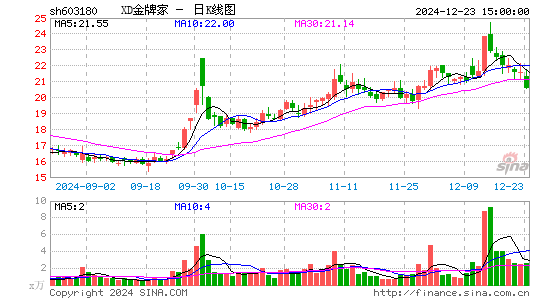 金牌厨柜