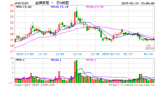 金牌厨柜