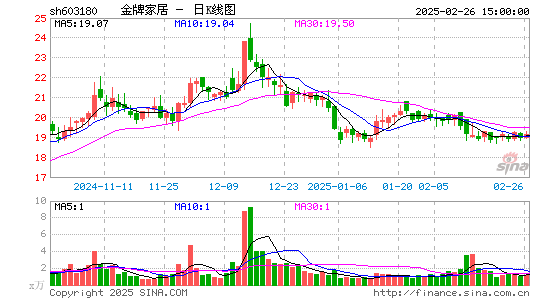 金牌厨柜