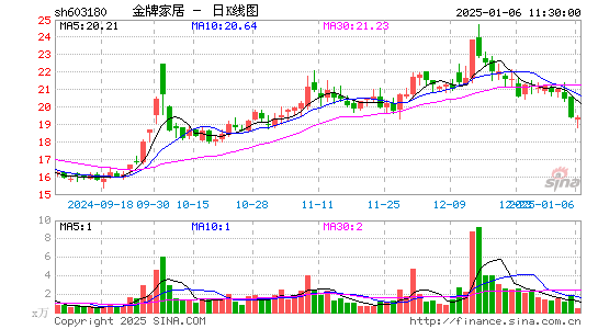 金牌厨柜