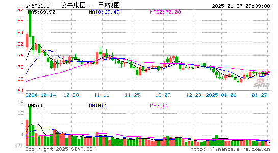 公牛集团