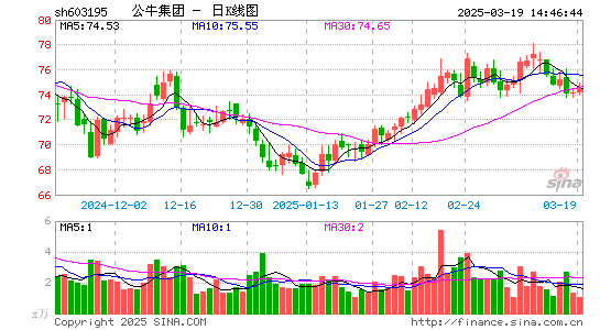 公牛集团