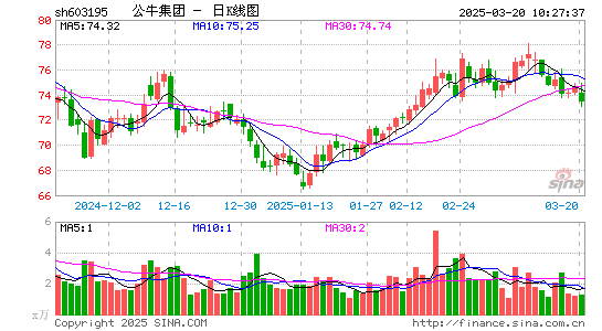 公牛集团