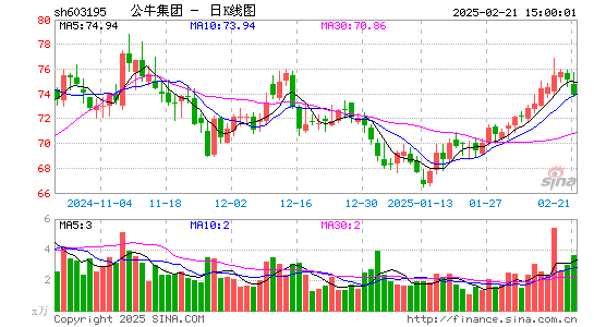 公牛集团