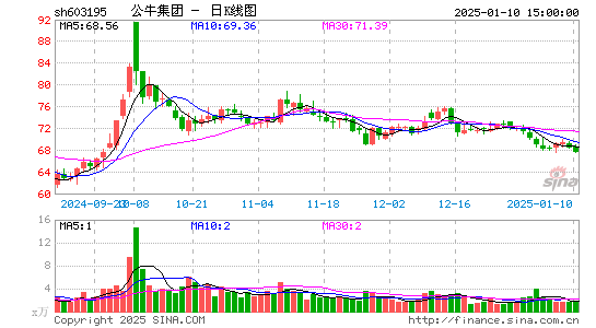 公牛集团