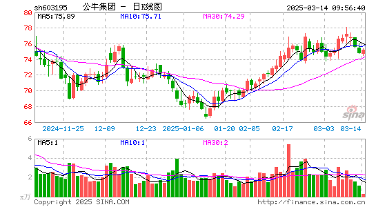 公牛集团