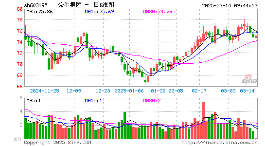 公牛集团