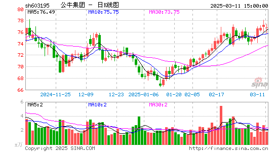 公牛集团