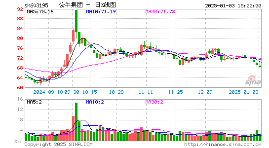 公牛集团