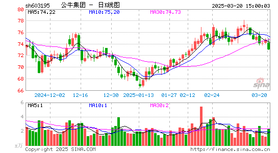 公牛集团