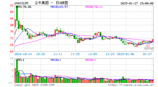 公牛集团