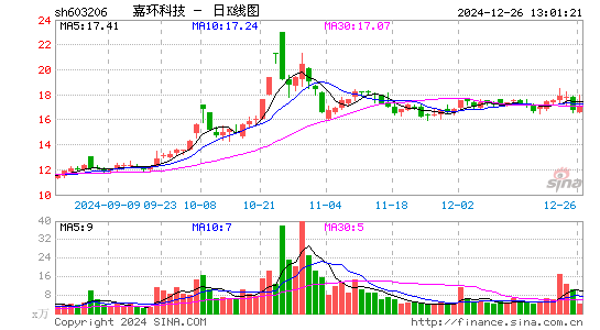 嘉环科技