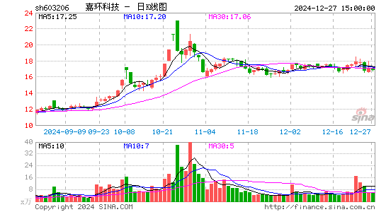 嘉环科技