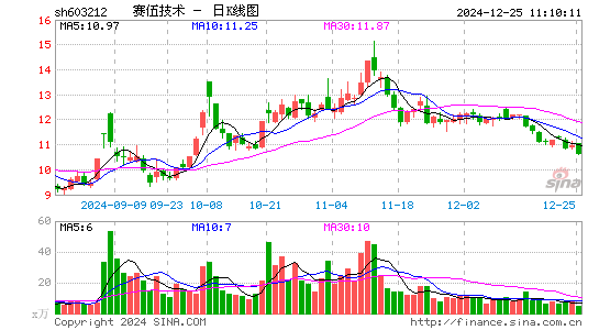 赛伍技术