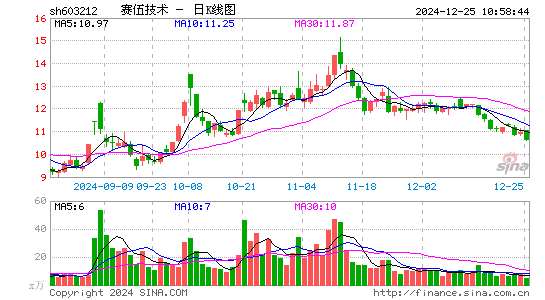 赛伍技术