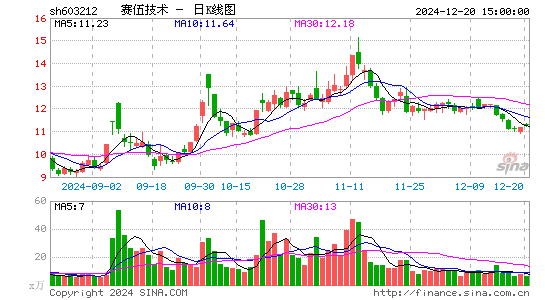 赛伍技术