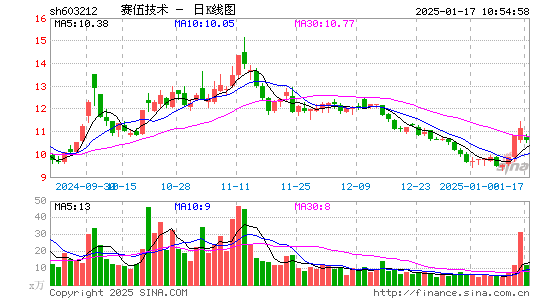 赛伍技术