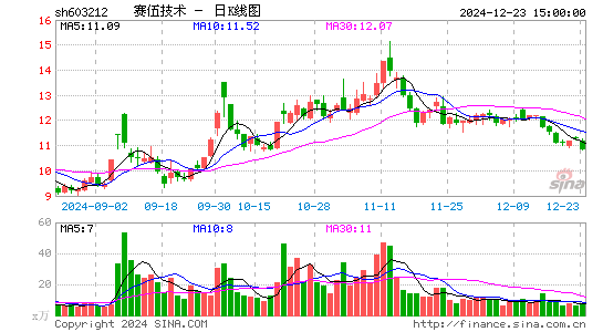 赛伍技术