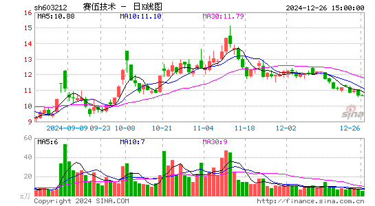 赛伍技术