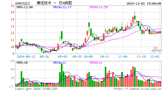 赛伍技术