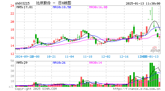 比依股份