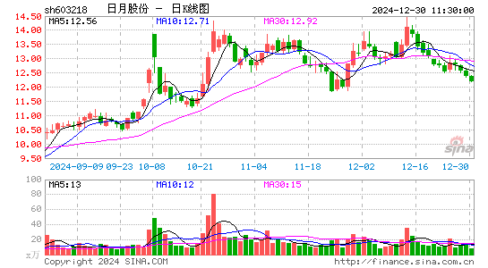 日月股份