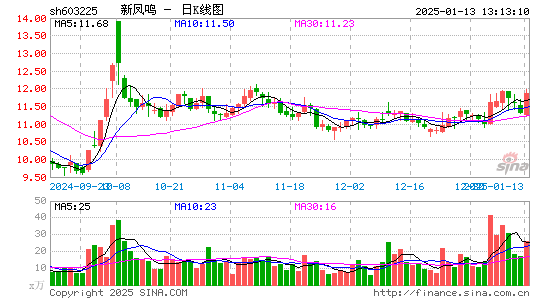 新凤鸣