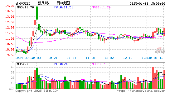 新凤鸣