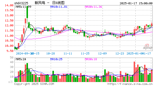 新凤鸣