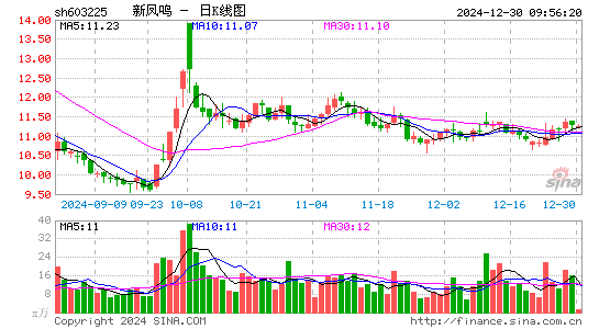 新凤鸣