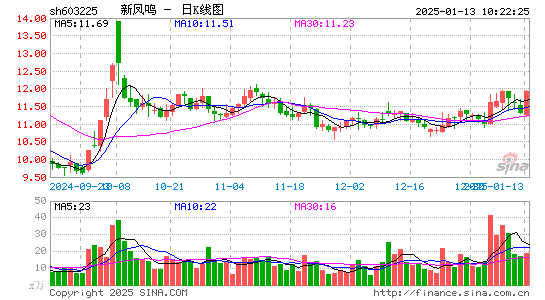 新凤鸣