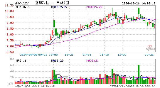 雪峰科技