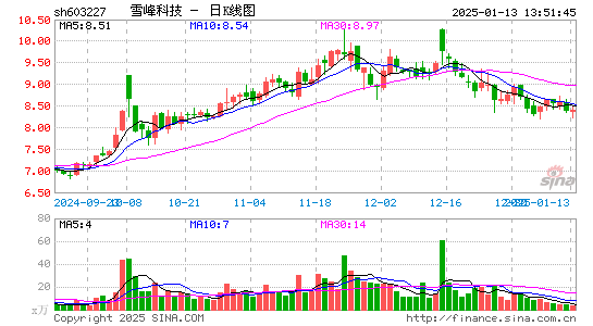 雪峰科技