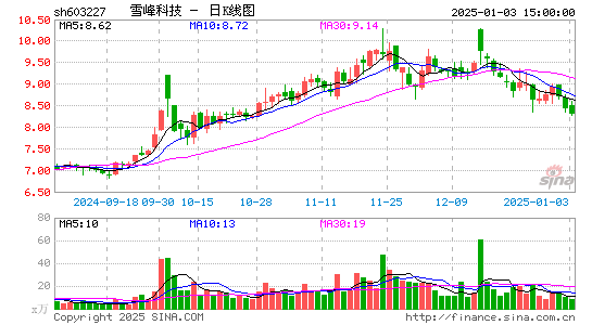 雪峰科技