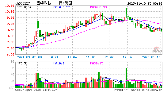 雪峰科技