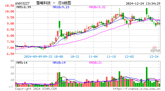 雪峰科技