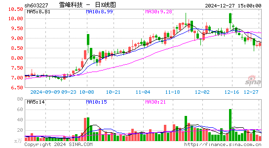 雪峰科技