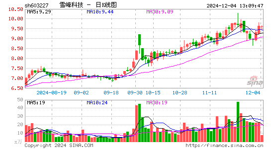 雪峰科技