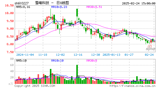 雪峰科技