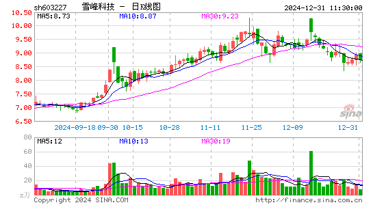 雪峰科技