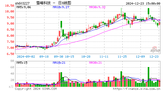 雪峰科技