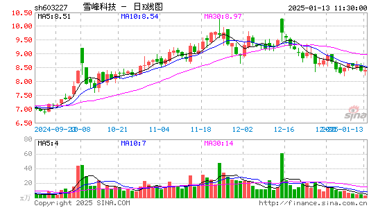 雪峰科技